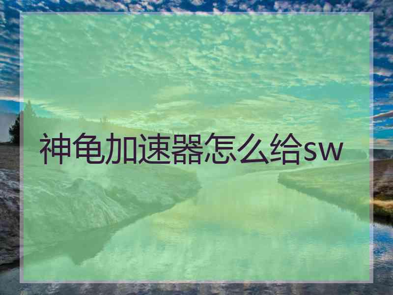 神龟加速器怎么给sw