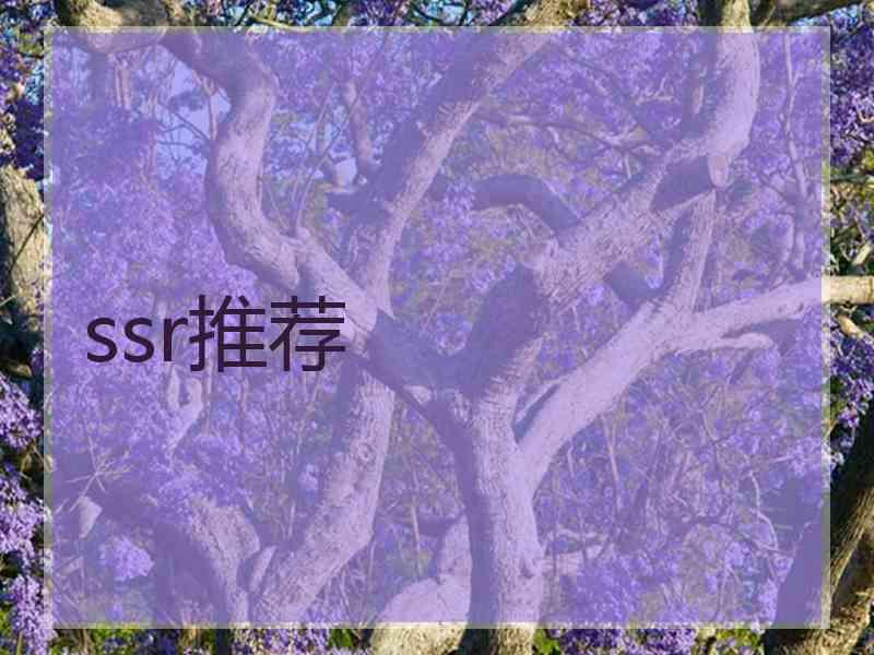 ssr推荐