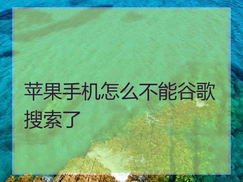 苹果手机怎么不能谷歌搜索了