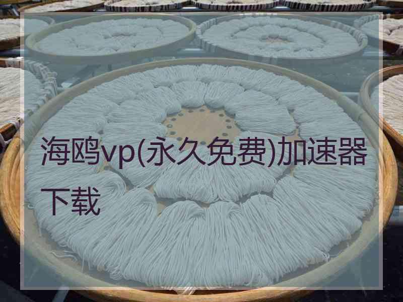 海鸥vp(永久免费)加速器下载