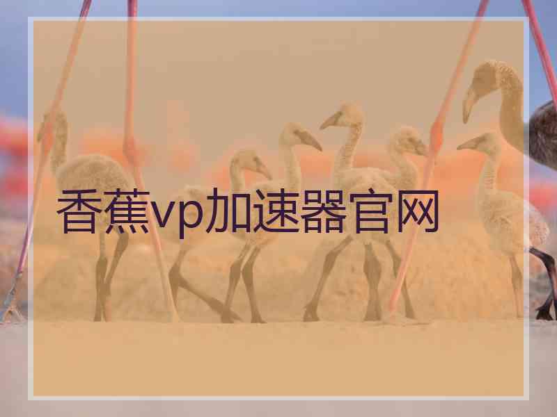 香蕉vp加速器官网