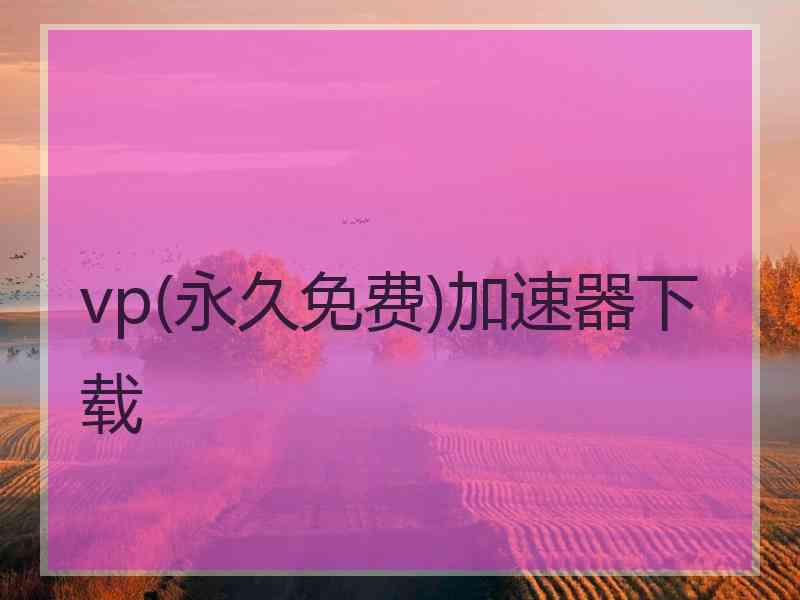 vp(永久免费)加速器下载