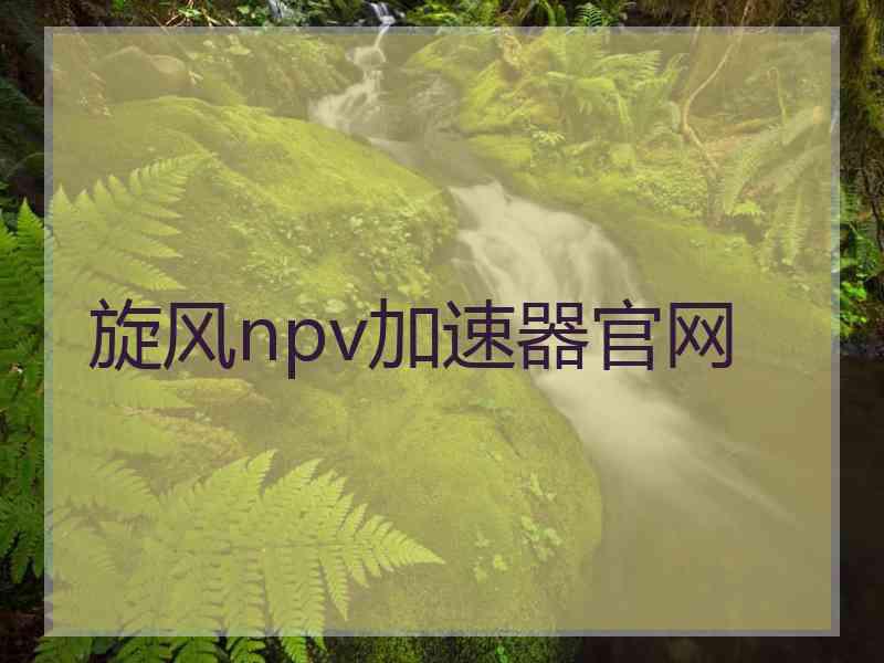 旋风npv加速器官网