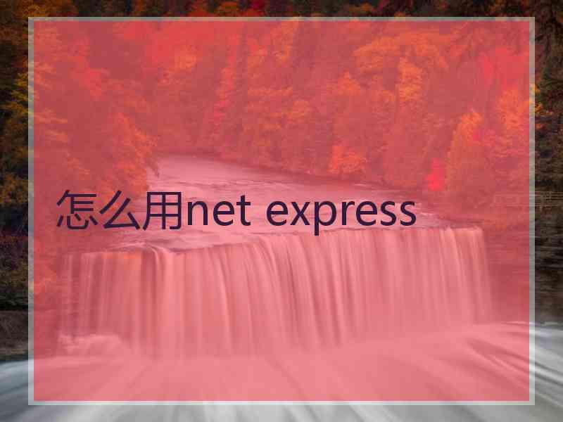 怎么用net express