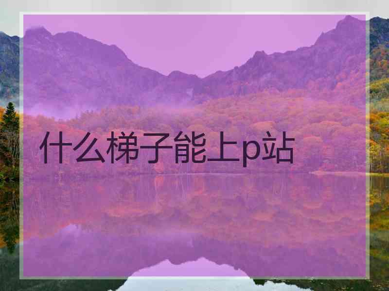 什么梯子能上p站