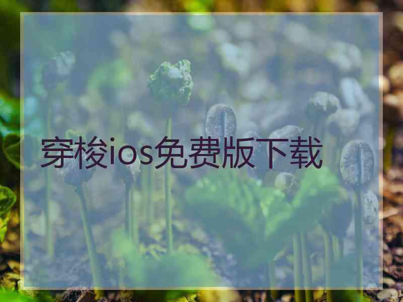 穿梭ios免费版下载