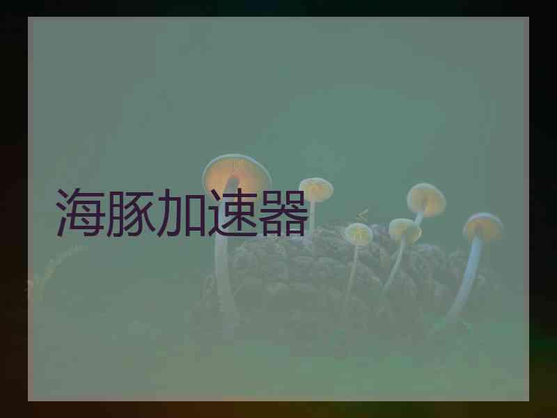 海豚加速器