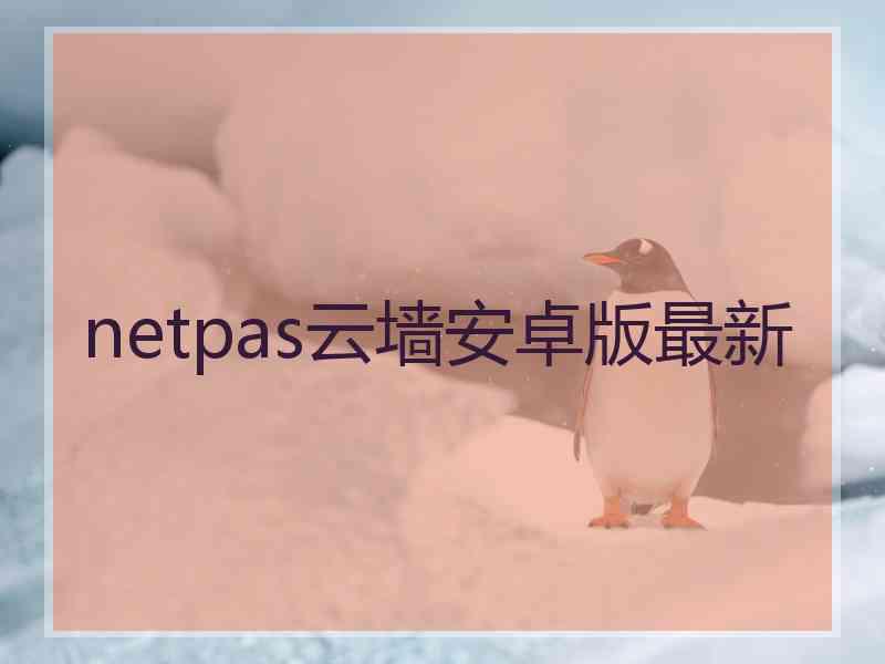 netpas云墙安卓版最新