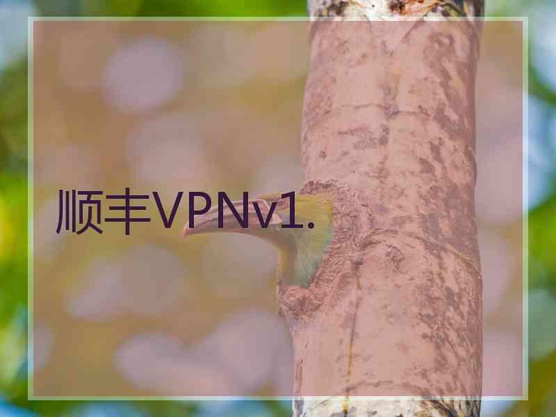 顺丰VPNv1.