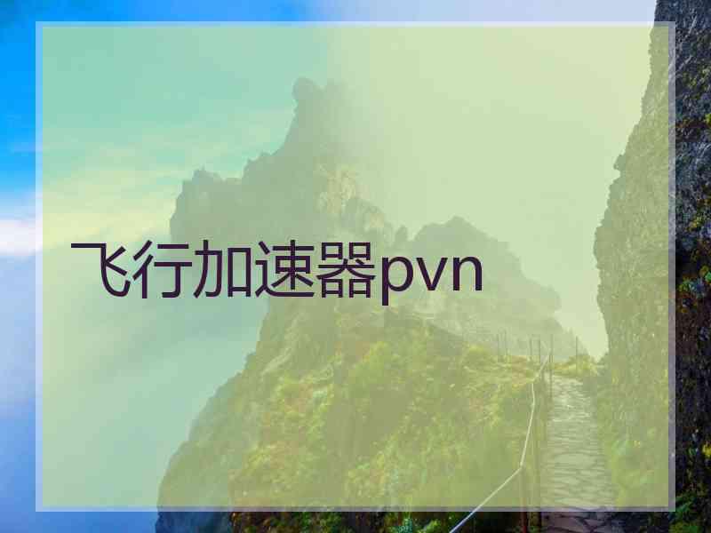 飞行加速器pvn