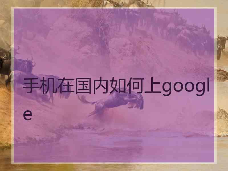 手机在国内如何上google