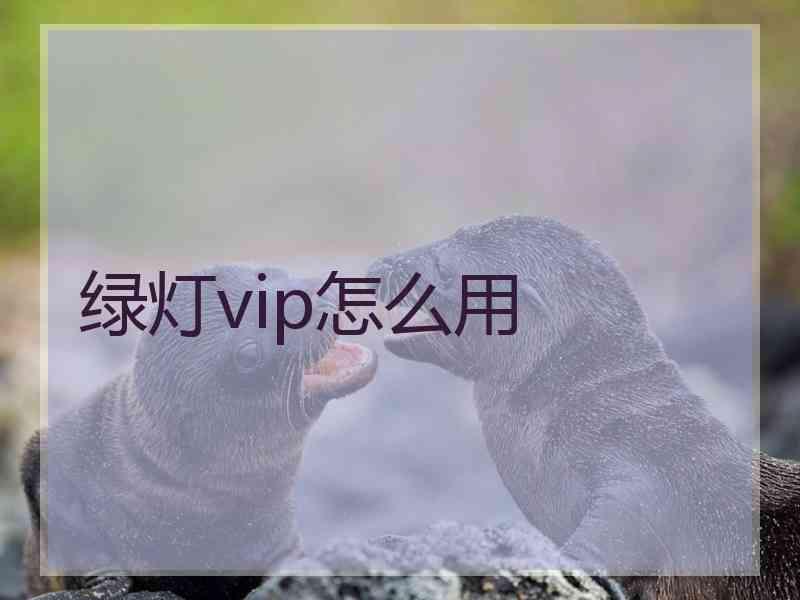 绿灯vip怎么用