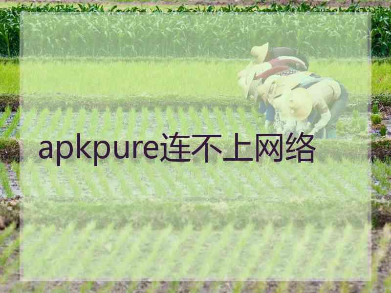 apkpure连不上网络