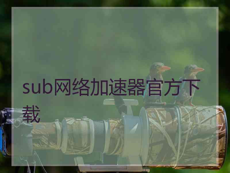 sub网络加速器官方下载