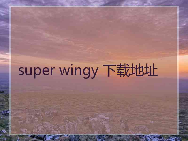 super wingy 下载地址