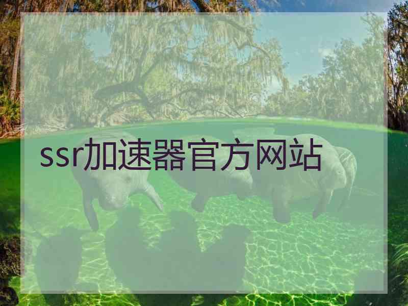 ssr加速器官方网站