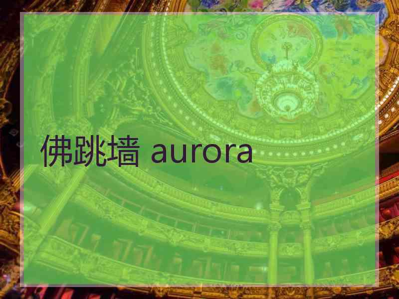 佛跳墙 aurora