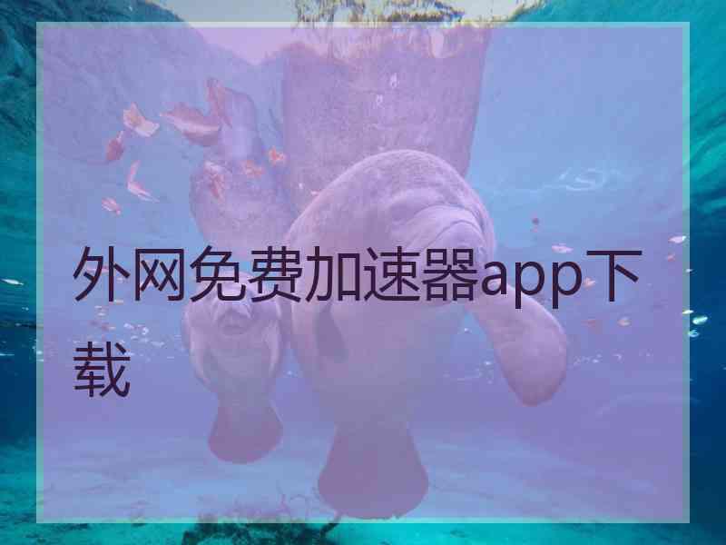 外网免费加速器app下载