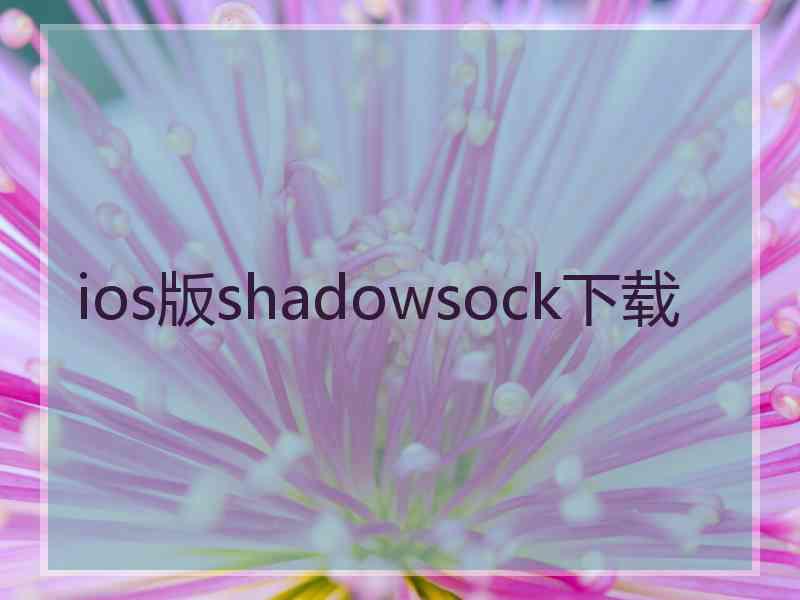 ios版shadowsock下载