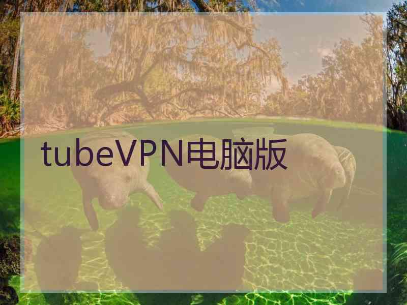 tubeVPN电脑版