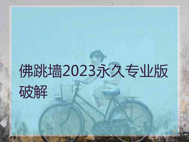 佛跳墙2023永久专业版破解