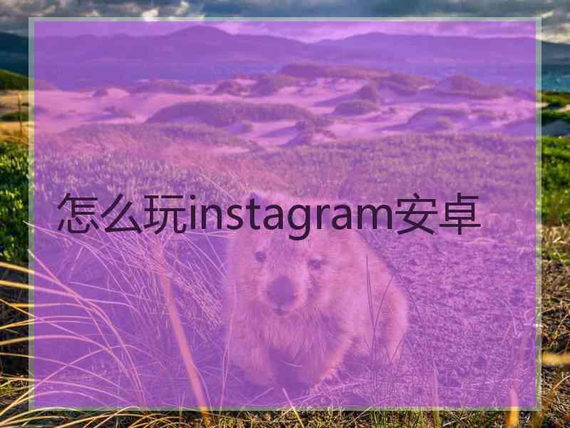 怎么玩instagram安卓