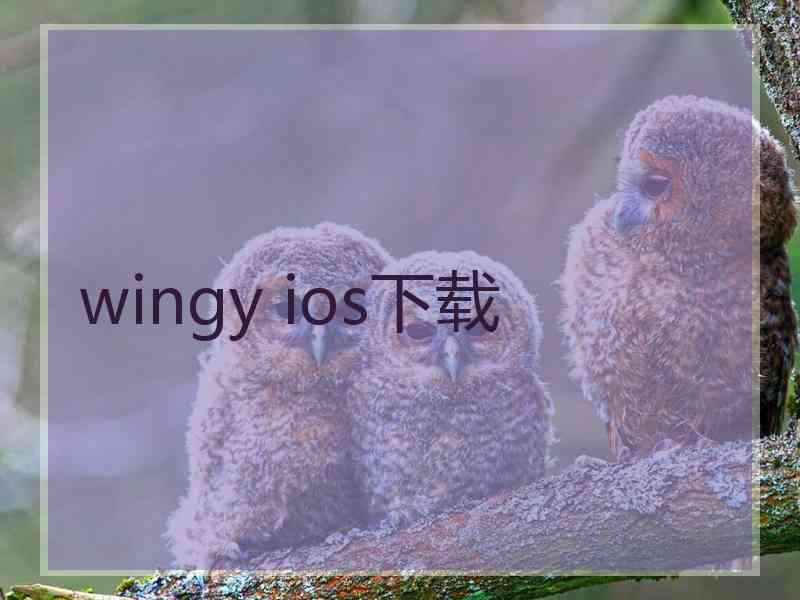 wingy ios下载