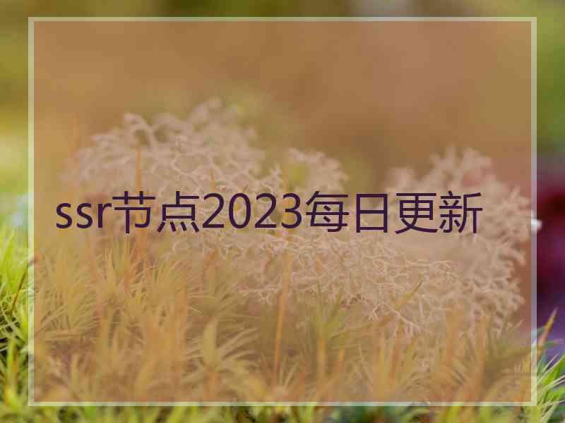 ssr节点2023每日更新