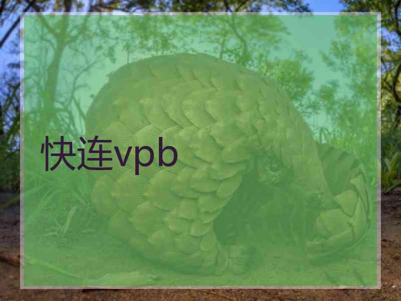 快连vpb