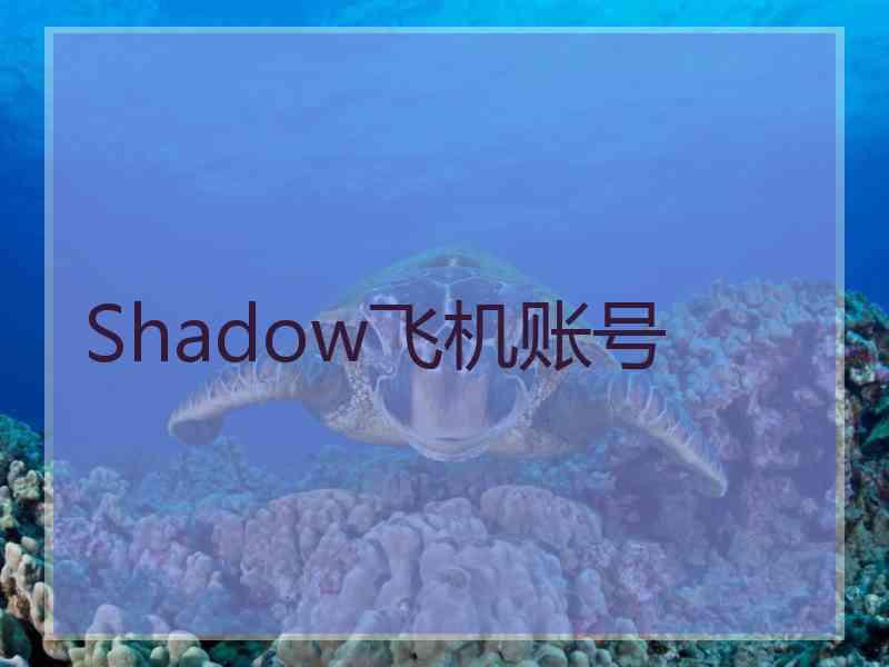 Shadow飞机账号