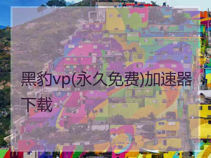 黑豹vp(永久免费)加速器下载