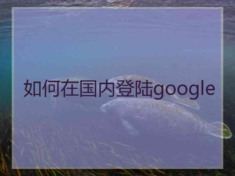 如何在国内登陆google