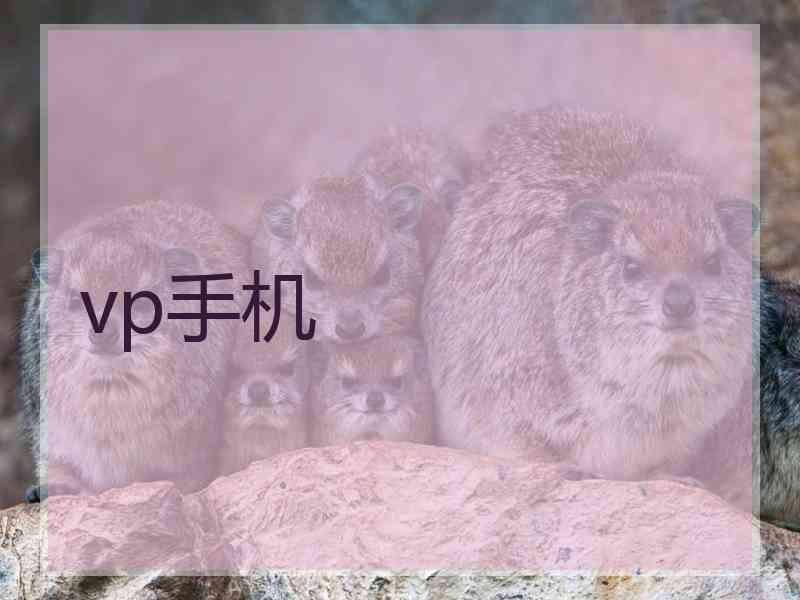 vp手机