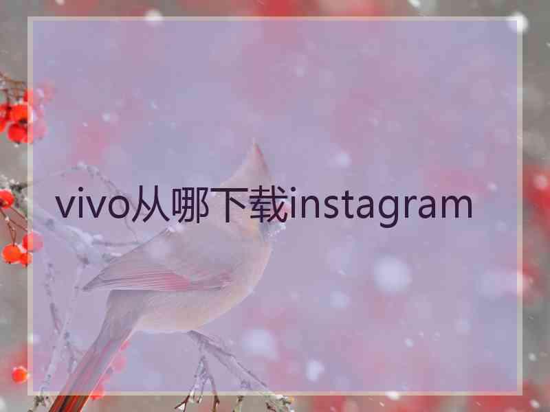 vivo从哪下载instagram