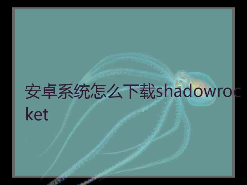 安卓系统怎么下载shadowrocket