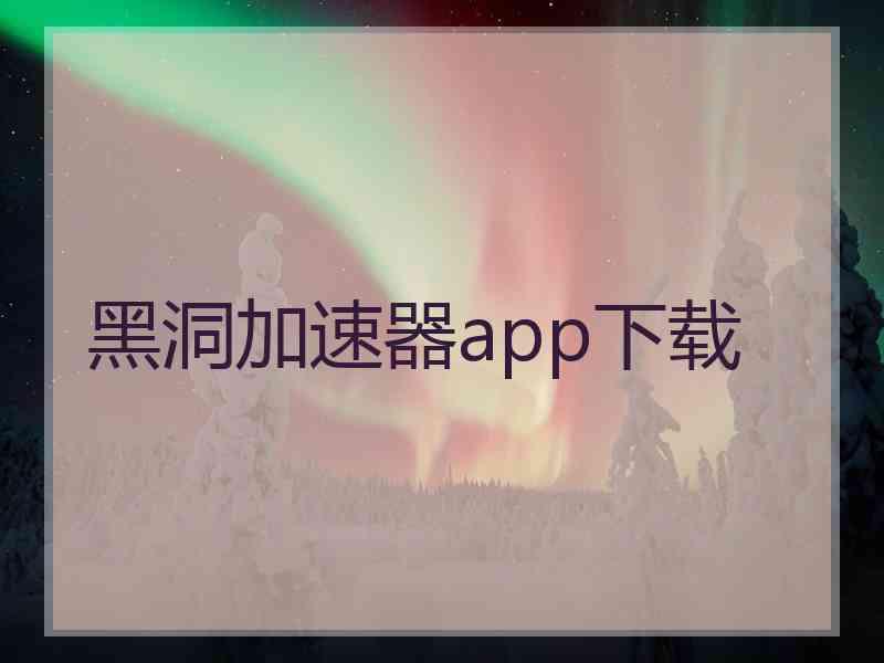 黑洞加速器app下载