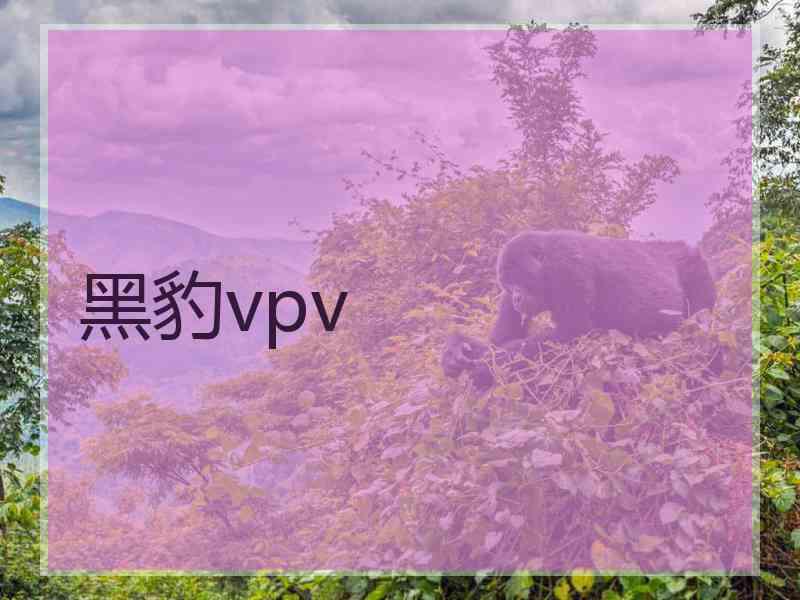 黑豹vpv