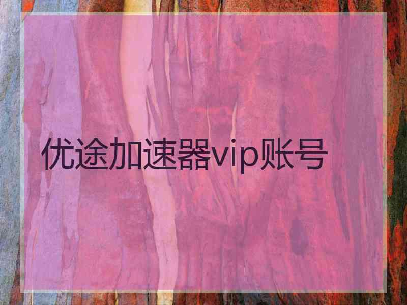 优途加速器vip账号