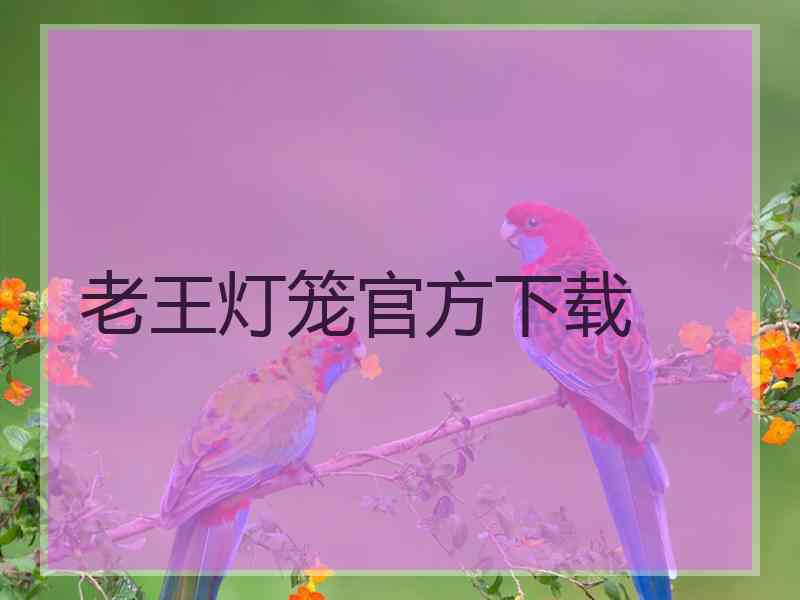 老王灯笼官方下载