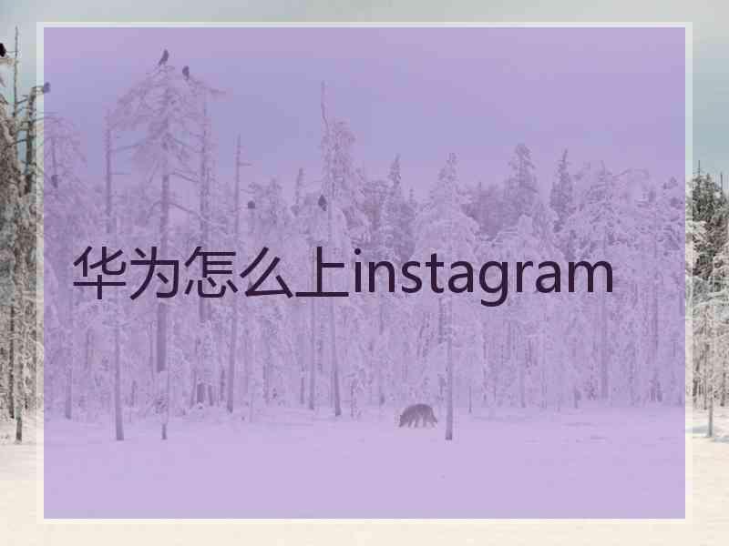 华为怎么上instagram