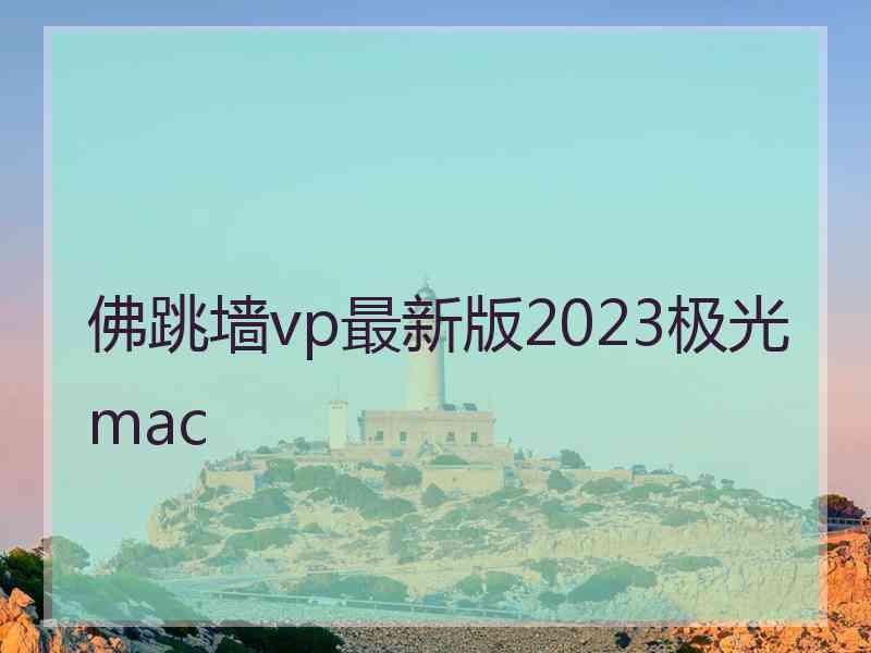 佛跳墙vp最新版2023极光 mac