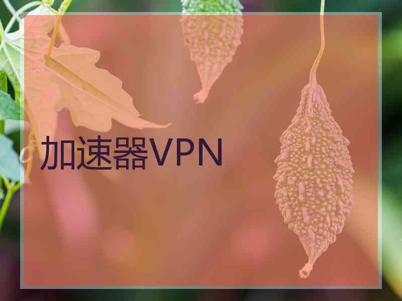 加速器VPN