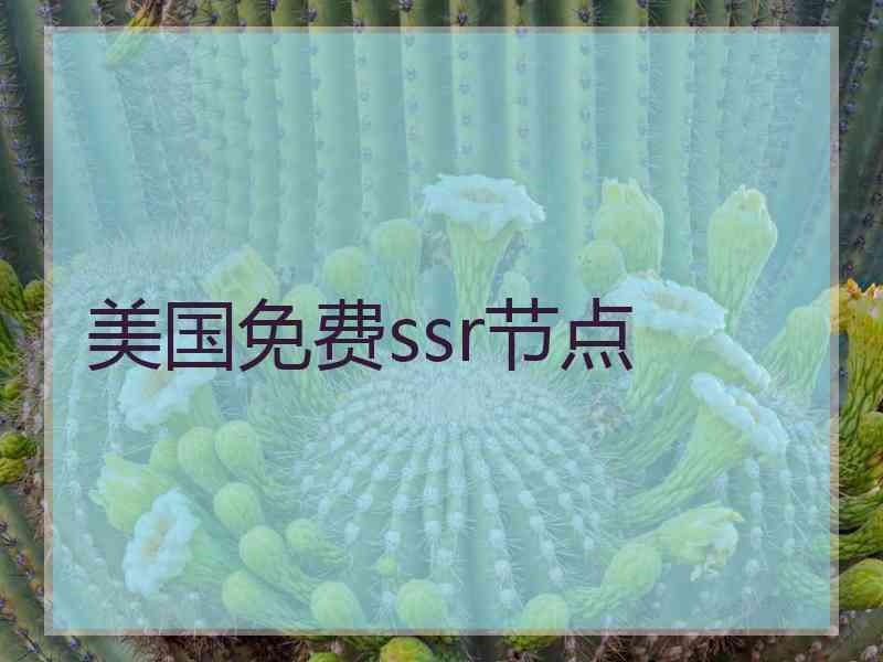 美国免费ssr节点