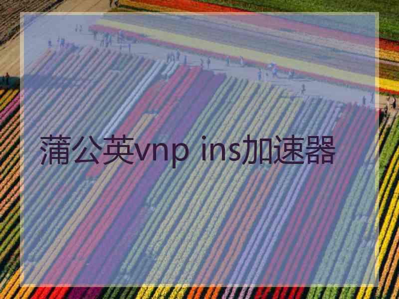 蒲公英vnp ins加速器