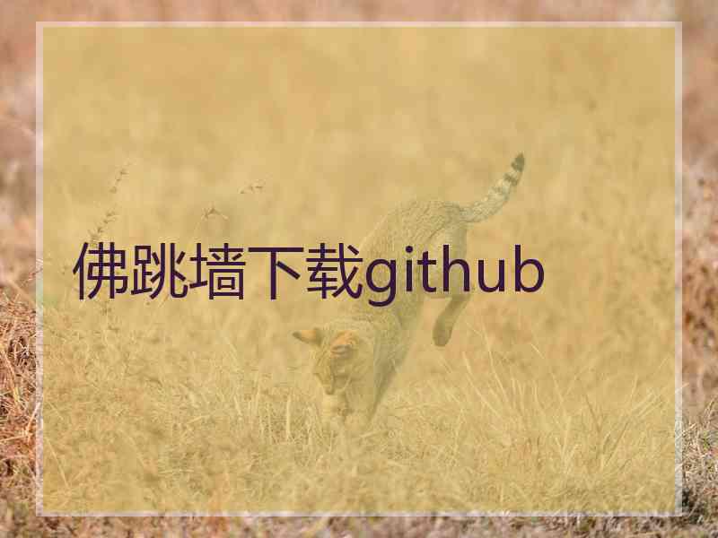 佛跳墙下载github