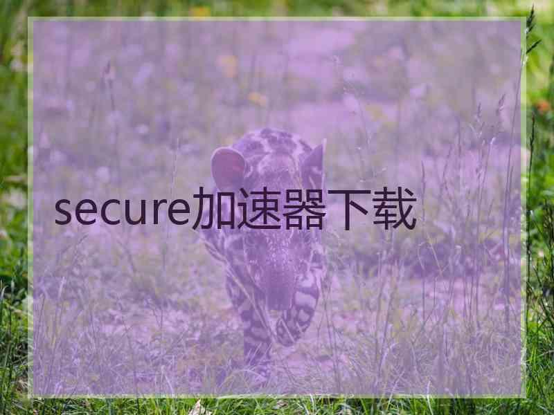 secure加速器下载