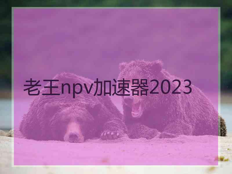 老王npv加速器2023