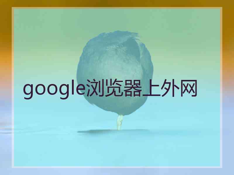 google浏览器上外网