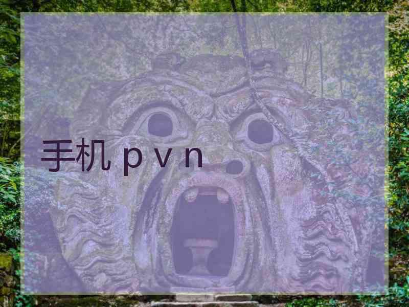 手机 p v n