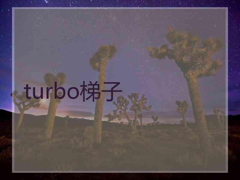 turbo梯子